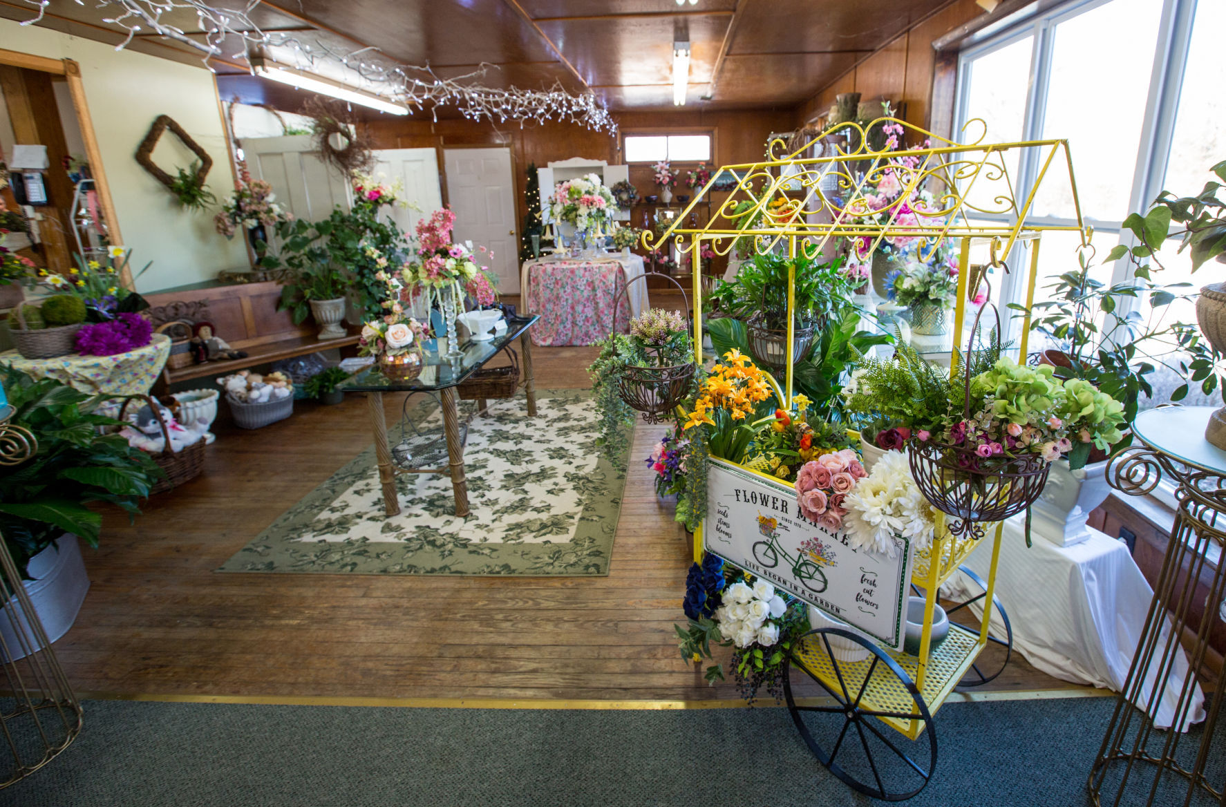 0224_dnr_HT Grottoes Flowers_4